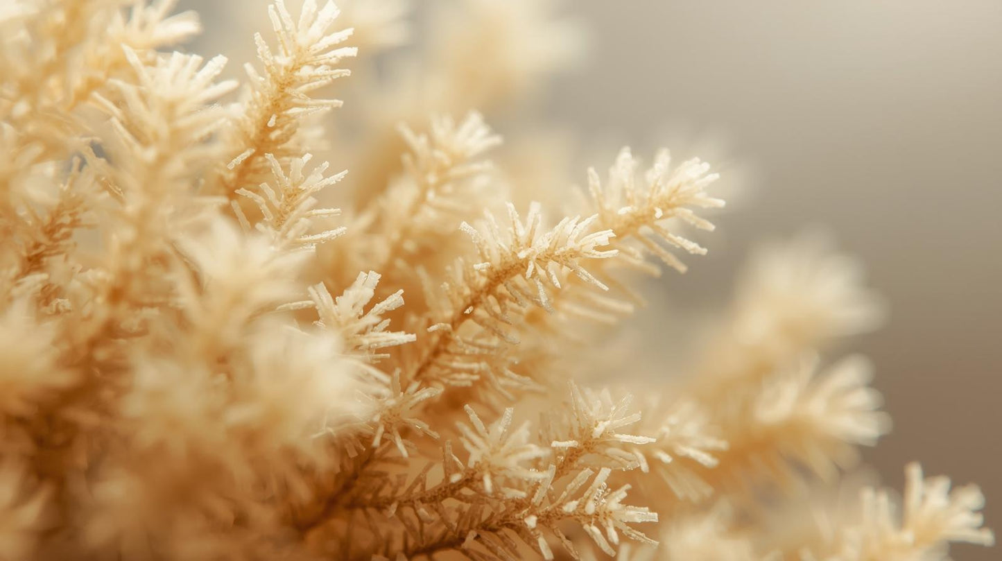 Debonaire Hair Systems Amino Acids Range.